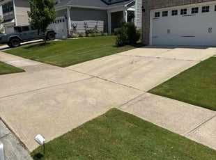 Miguel F.'s lawn care services service result