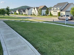 Dragomir Z.'s lawn care services service result