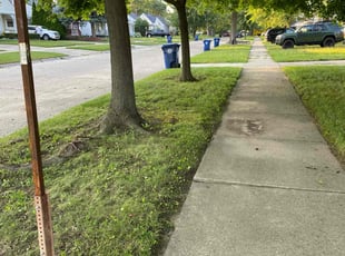Jaime D.'s lawn care services service result