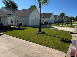 Arias C.'s grass maintenance service result