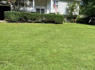 Terri C.'s Bush Trimming service result