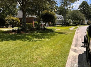 Jason E.'s grass cutting service result