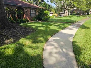 Kim D.'s lawn maintenance service result