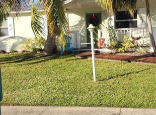 David P.'s grass cutting service result