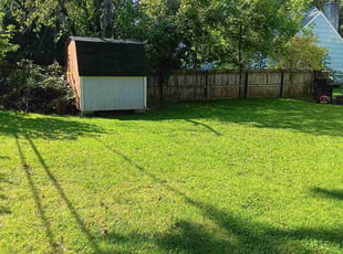 Ben A.'s lawn maintenance service result