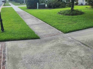 Juan S.'s grass cutting service result