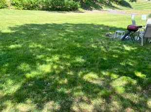 Randi N.'s lawn maintenance service result