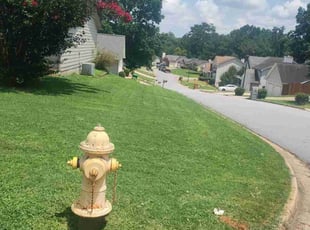 Charles L.'s lawn care services service result