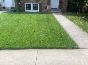 Gregory C.'s grass maintenance service result