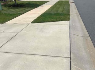 David L.'s grass cutting service result