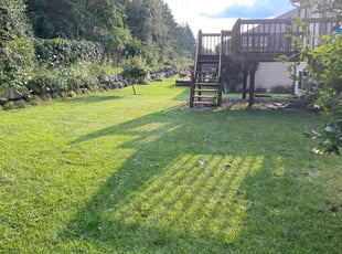 Marcos S.'s lawn care service result