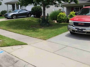 Elissa C.'s lawn care service result