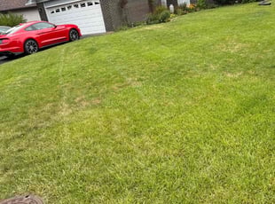 Carole E.'s lawn service service result