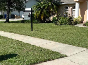 Ann-Maria C.'s lawn service service result