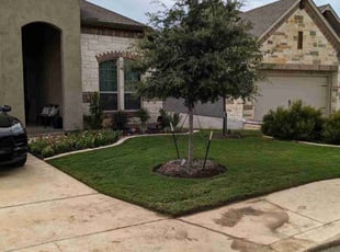 Moe S.'s turf care service result