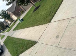 Gheric B.'s turf care service result
