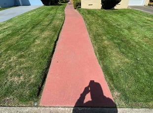Mary J.'s grass cutting service result