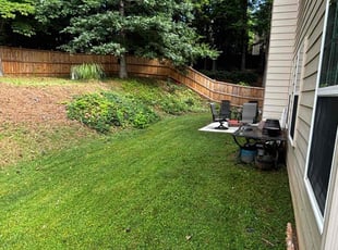 Mike R.'s turf care service result
