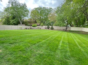 Rosalia U.'s lawn maintenance service result