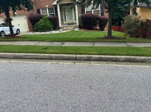 Samantha P.'s grass maintenance service result