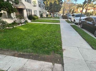 Stacey K.'s lawn care service result