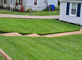 Sandy W.'s grass maintenance service result