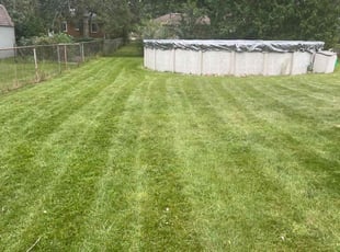 &quot;Rita F.'s lawn care services service result