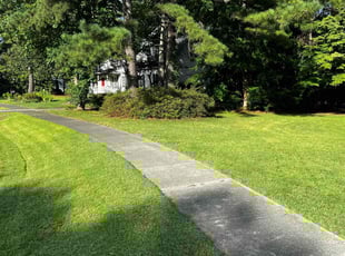 Kaylee B.'s grass maintenance service result