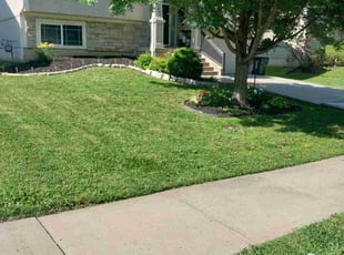 Erica J.'s lawn care services service result