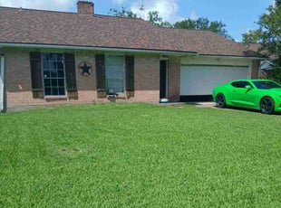 Aliye L.'s lawn care services service result