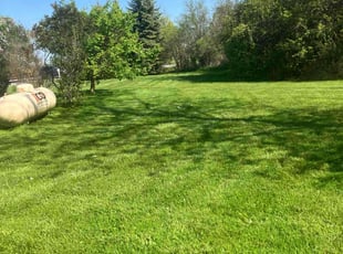 Chris C.'s grass maintenance service result