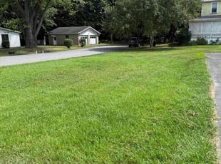 Wanda O.'s lawn maintenance service result