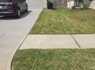 Fay L.'s turf care service result
