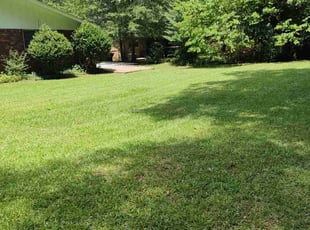 Kelsey W.'s grass cutting service result