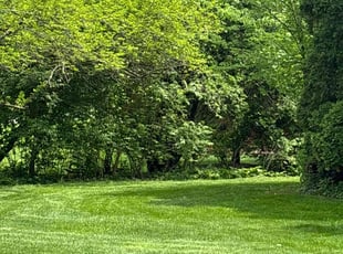 Paula K.'s lawn care services service result