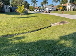 Will M.'s grass cutting service result