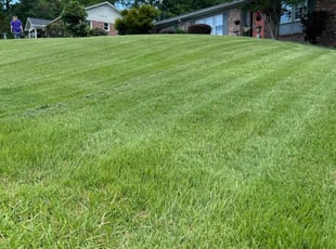 Jesse L.'s lawn service service result