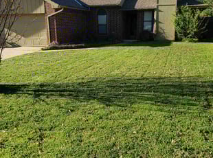 Jay D.'s lawn care services service result