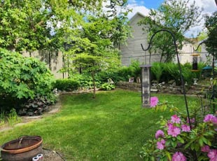 Estefan A.'s Leaf Removal service result