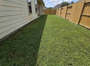 Joe L.'s turf care service result