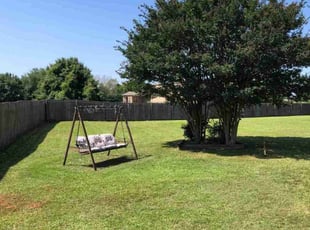 Patrick M.'s lawn care service result