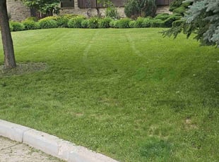 James D.'s turf maintenance service result