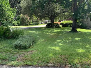 Dominic G.'s lawn care services service result