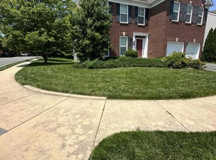 Chris R.'s lawn care service result