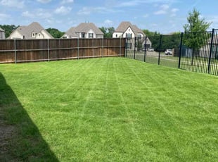 Jenny Z.'s lawn maintenance service result