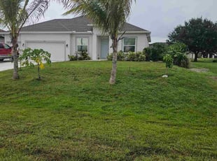 Jane K.'s grass maintenance service result