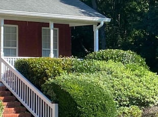 Allen H.'s Bush Trimming service result