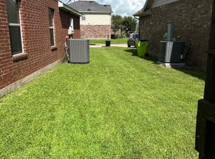 Nicole S.'s turf care service result