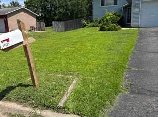 Nancy M.'s lawn care service result