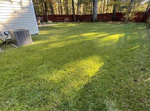 Londa R.'s grass cutting service result